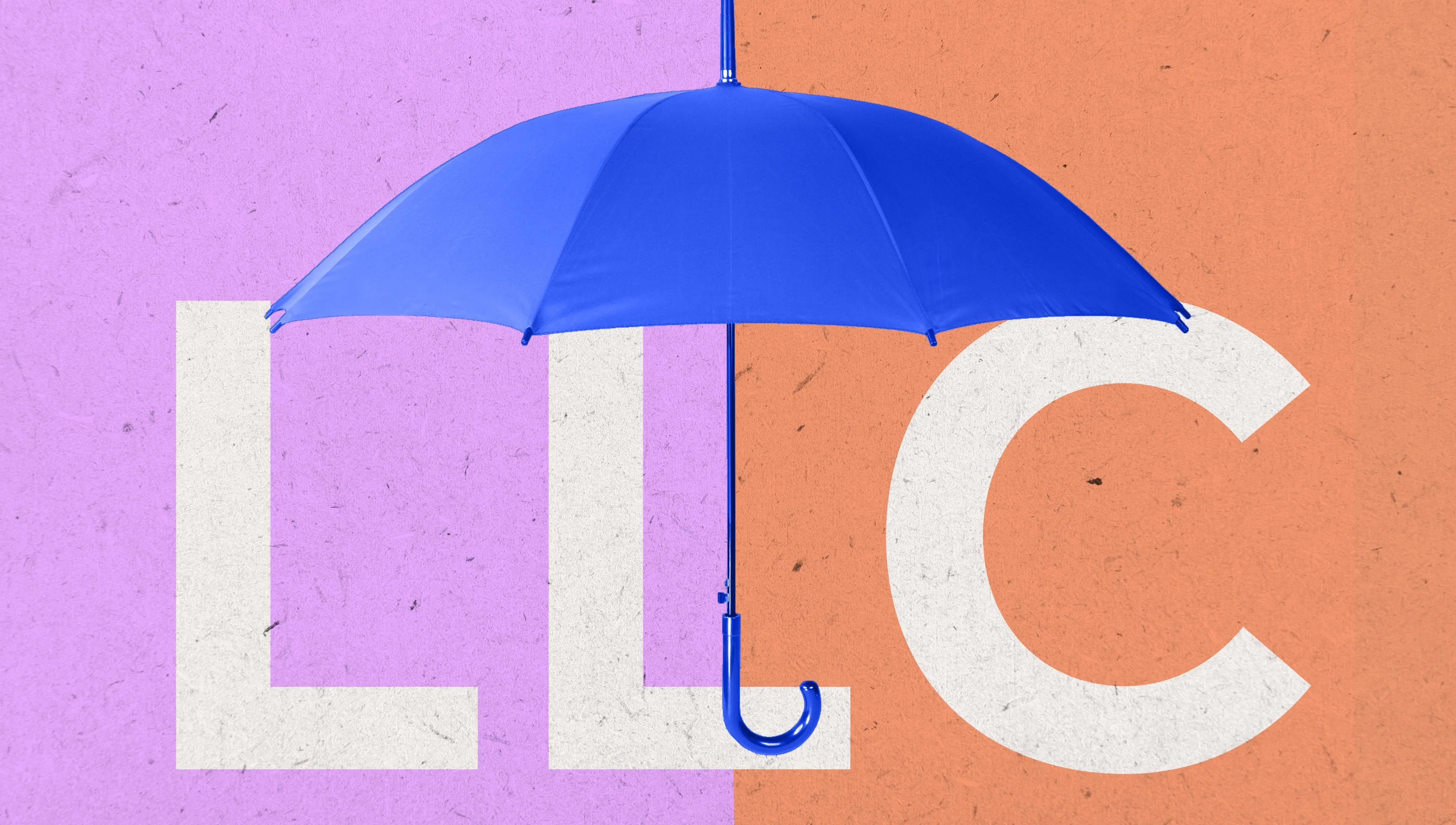 A guide to limited liability companies